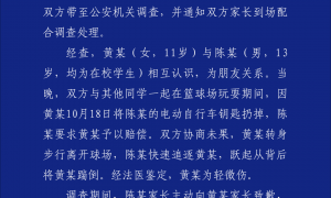 警方通报男孩球场飞踹女孩：系朋友，男孩未满十四周岁不予处罚